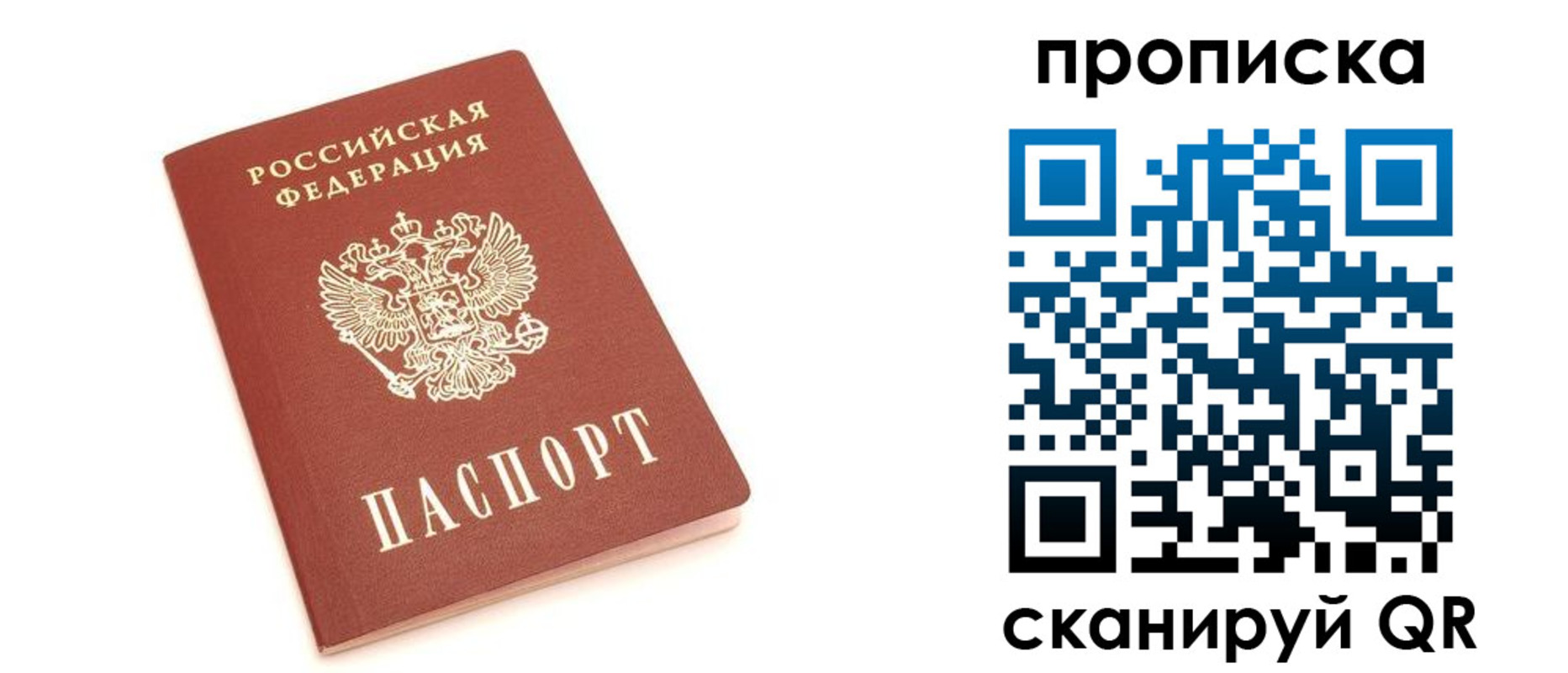 прописка 2025 в Светогорске